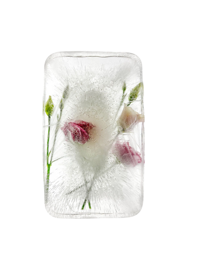 Saltwater Rose (EDP 17%) (Limited Edition)