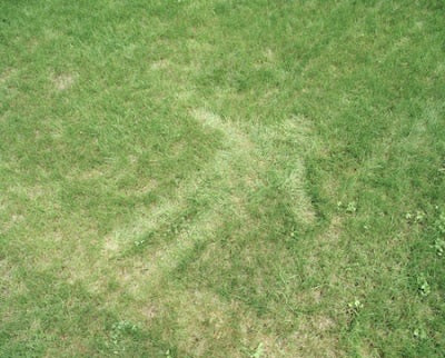 Cut Grass & Concrete Atmospheric Incense Oil