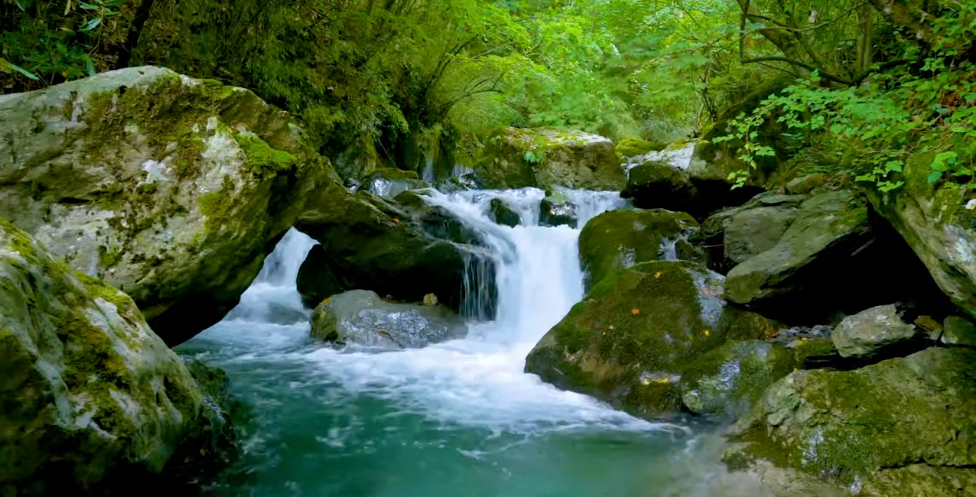 Load video: Mountain Stream Video