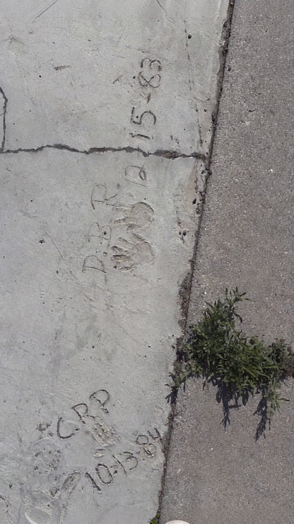 Cut Grass + Concrete (Perfume Oil)